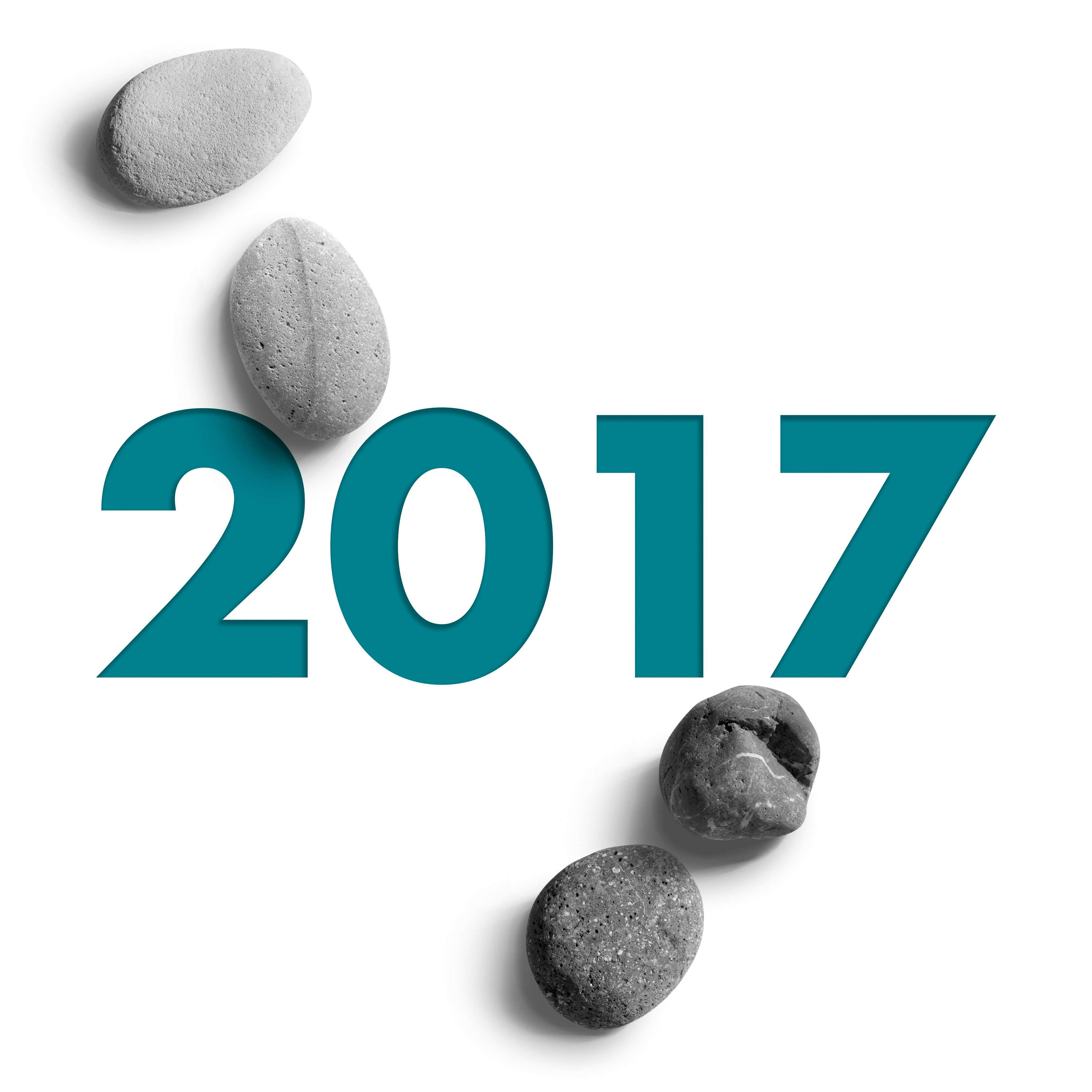 Year 2017