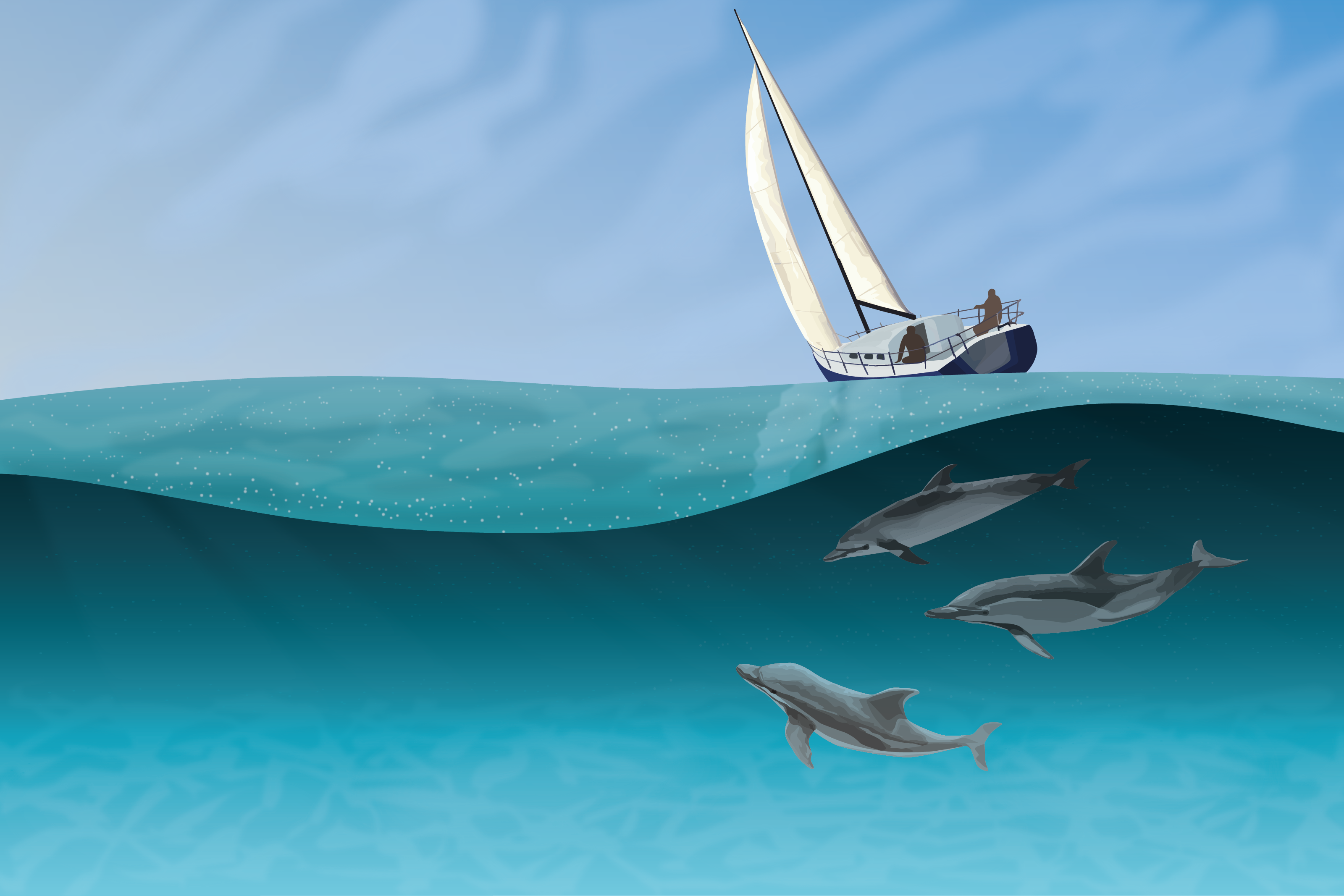 Dolphins chasing a sailboat, Split water illustration by Xavier Wendling